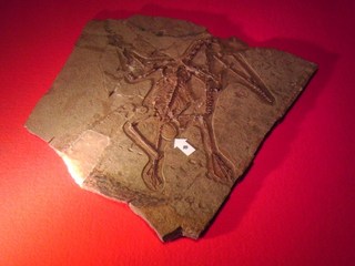 2012070801.jpg