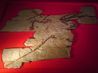 2012070802.jpg