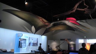 2012070805.jpg