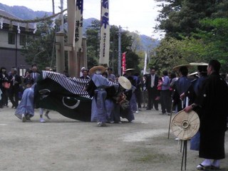 IMAG0226.jpg