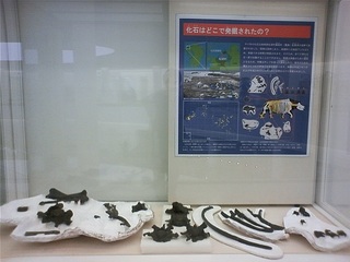 fpdm2012032003.jpg